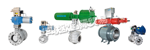 通過LEUSCH的生產(chǎn)計(jì)劃，客戶隨時(shí)了解其閥門的制造和測試過程。