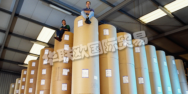 APV德國(guó)是歐洲卷材紙和柔性材料加工領(lǐng)域的領(lǐng)先公司之一。在客戶不斷變化的需求的推動(dòng)下，他們不斷努力改進(jìn)和完善他們的加工技術(shù)。這得到了密集投資計(jì)劃的支持。因此，他們實(shí)現(xiàn)了先前的機(jī)器擴(kuò)展和存儲(chǔ)容量的擴(kuò)展。2011年，Bramsche工廠新建了一個(gè)生產(chǎn)車間，為高科技，醫(yī)療技術(shù)和食品行業(yè)的客戶提供清潔和衛(wèi)生的特殊條件。