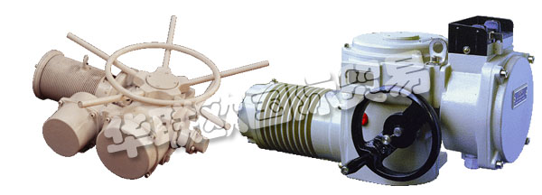 歐洲捷克ZPA-PECKY公司的產(chǎn)品主要有：ZPA PECKY執(zhí)行器、ZPA PECKY電機(jī)、伺服電機(jī)、單回轉(zhuǎn)執(zhí)行器、多回轉(zhuǎn)執(zhí)行器、杠桿伺服電機(jī)、線性伺服電機(jī)、伺服電機(jī)的配置器、ZPM變速箱、Mastergear變速箱、單轉(zhuǎn)伺服電機(jī)、多圈伺服電機(jī)、推力伺服電機(jī)。