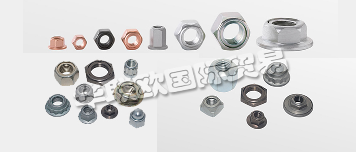 FLAIG+HOMMEL是世界知名的不銹鋼安全螺母制造商，幾十年來一直是國(guó)際汽車和鐵路行業(yè)的可靠合作伙伴。下文為您具體介紹FLAIG+HOMMEL安全螺母。