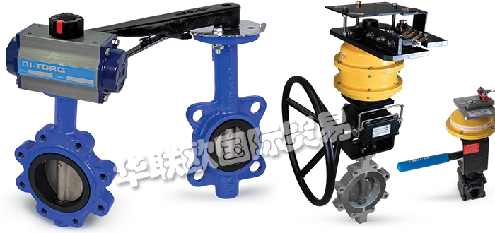 BITORQ品牌介紹(美國BITORQ蝶閥氣動(dòng)執(zhí)行器)